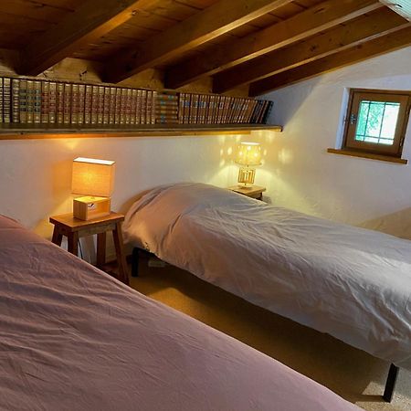 Chalet Erminea Chamonix Extérieur photo