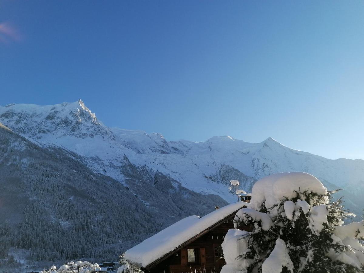 Chalet Erminea Chamonix Extérieur photo
