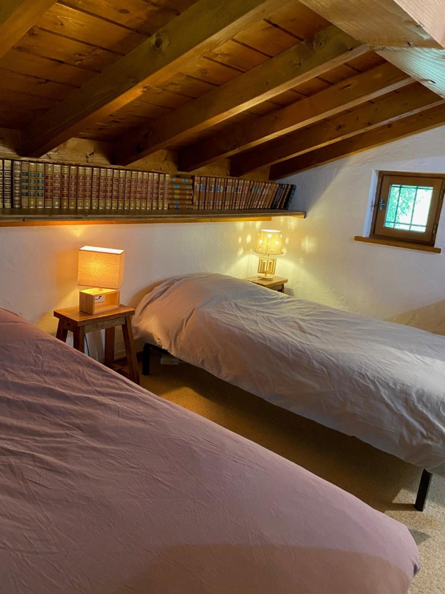Chalet Erminea Chamonix Extérieur photo